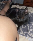 Анкета проститутки Софа - метро Дорогомилово, возраст - 25